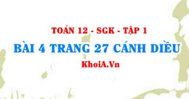 Bài 4 trang 27 Toán 12 tập 1 Cánh Diều